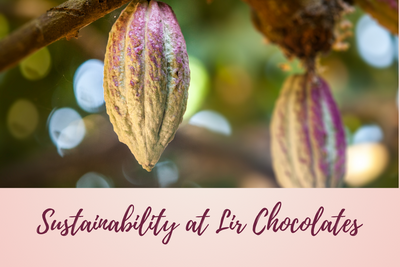 Sustainability at Lir Chocolates